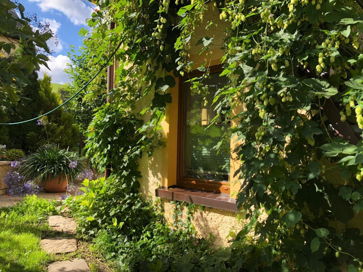 Ferienhaus Erzgebirge "An Der Trebe" Mit Kamin Und Sauna Neuhausen  Eksteriør billede