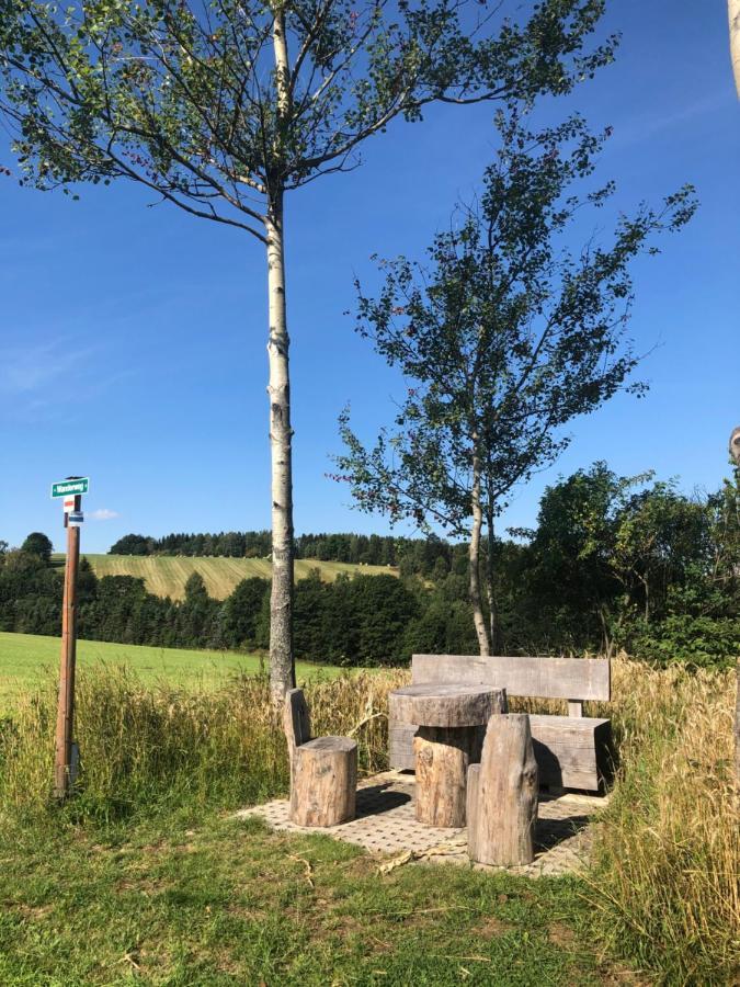 Ferienhaus Erzgebirge "An Der Trebe" Mit Kamin Und Sauna Neuhausen  Eksteriør billede