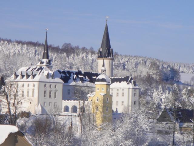 Ferienhaus Erzgebirge "An Der Trebe" Mit Kamin Und Sauna Neuhausen  Værelse billede