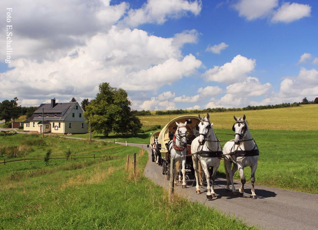 Ferienhaus Erzgebirge "An Der Trebe" Mit Kamin Und Sauna Neuhausen  Eksteriør billede