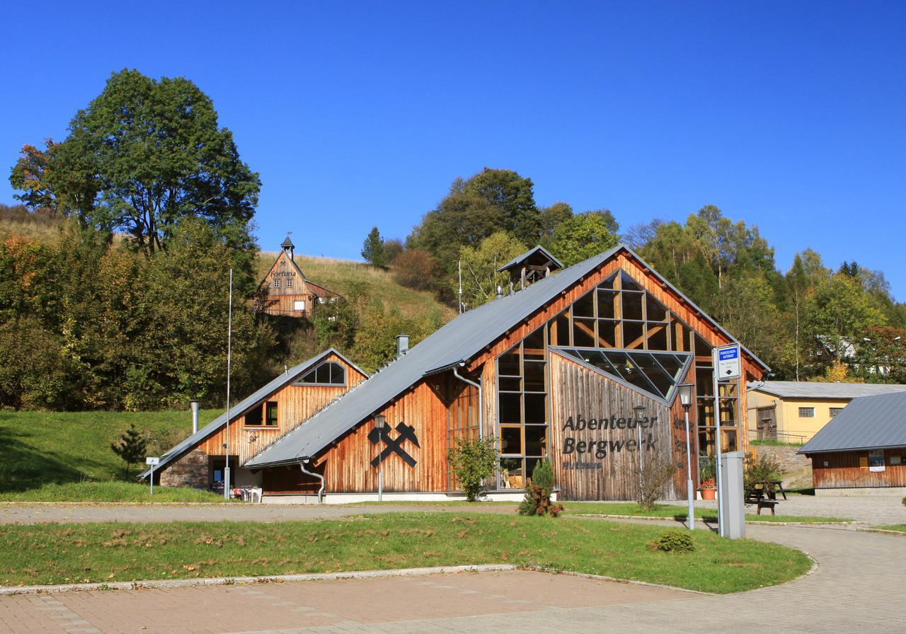 Ferienhaus Erzgebirge "An Der Trebe" Mit Kamin Und Sauna Neuhausen  Eksteriør billede
